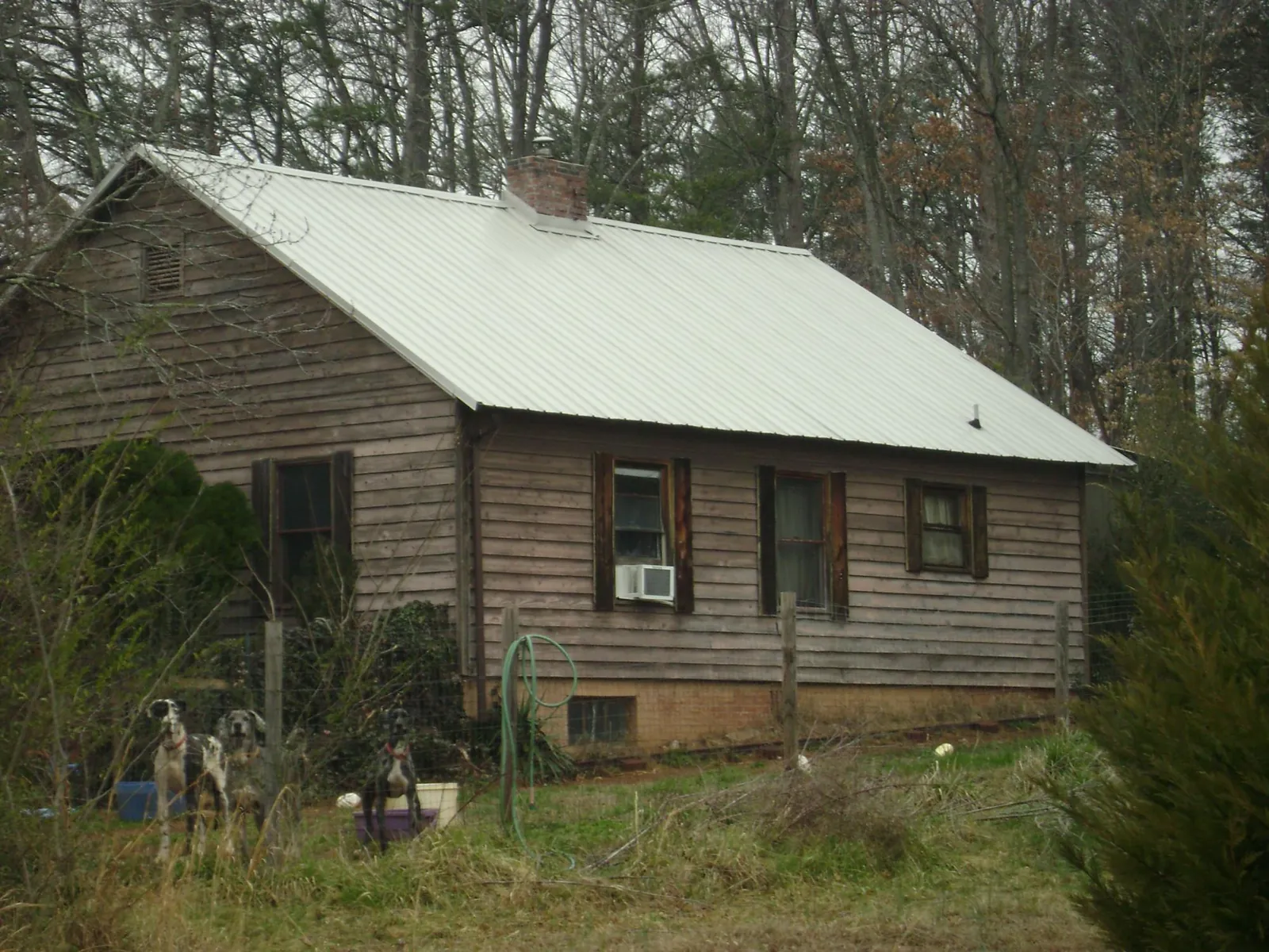 White metal roof on an old wood sided farmhouse, from a Asphalt Shingle Roof Repair job in Cambridge